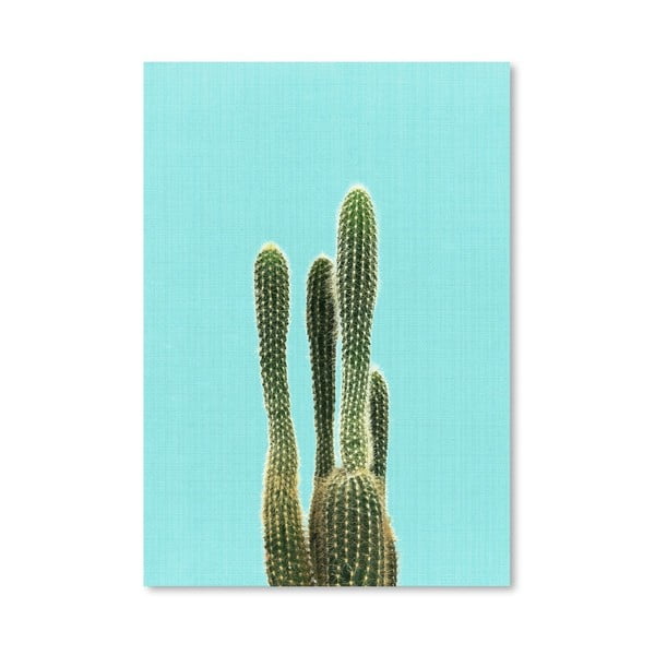 Plakát Cactus On Blue
