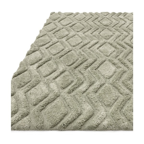 Zelený koberec 170x120 cm Harrison - Asiatic Carpets-image-4