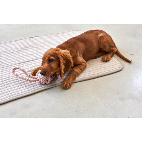 Šedá bavlněná deka pro psa 60x80 cm Onda Greige S – MiaCara-image-3