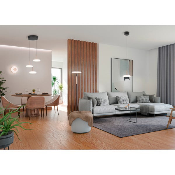 LED stmívatelné závěsné svítidlo v černobílo-zlaté barvě se skleněným stínidlem ø 22 cm Celeste – Trio-image-4