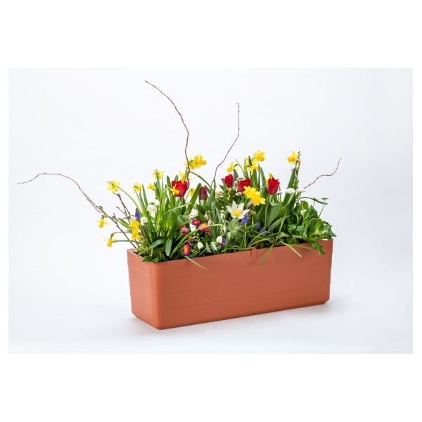 Plastový samozavlažovací truhlík 39,5 cm Berberis – Plastia-image-4