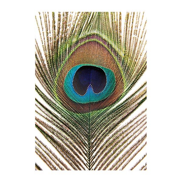 Obroz Eurographics Strass Feather