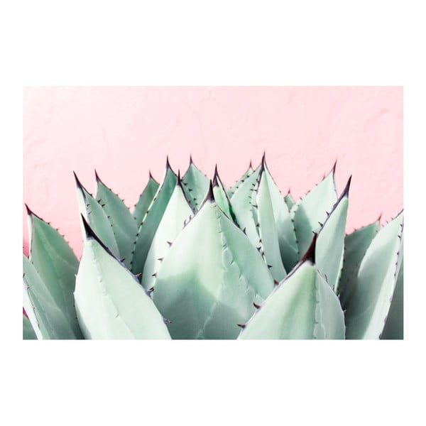 Obraz Marmont Hill Sweet Succulent, 45 x 30 cm