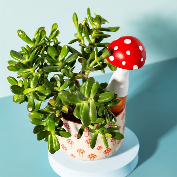 Zavlažovač z terakoty Mushroom – Sass & Belle-image-1