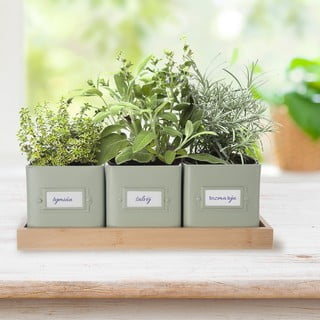 Kovové květináče na bylinky v sadě 3 ks Greenish – Orion