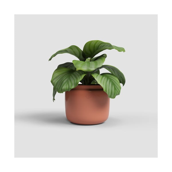 Keramický ručně vyrobený květináč ø 20 cm Astrea – Artevasi-image-1