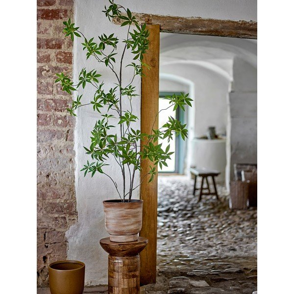 Umělá rostlina (výška 160 cm) Palmatum – Bloomingville-image-1