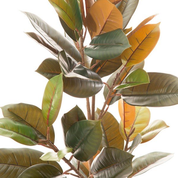 Umělý fíkus (výška 90 cm) Ficus – Ixia-image-1