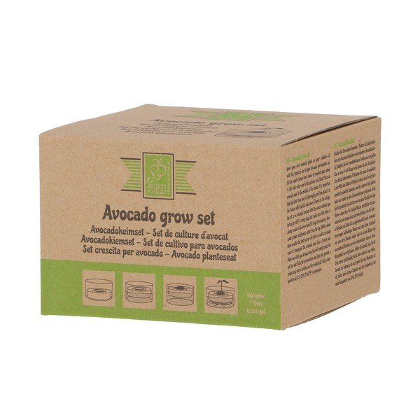 Skleněná klíčicí miska ø 14 cm Avocado – Esschert Design-image-4