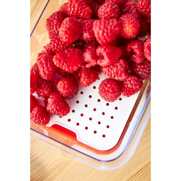 Plastový organizér do lednice Cauma – Rotho-image-3