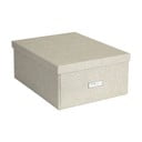 Úložný box s víkem Katrin – Bigso Box of Sweden