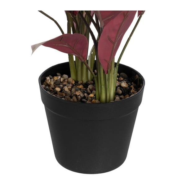 Umělá rostlina (výška 55 cm) Bird of Paradise – Ixia-image-2