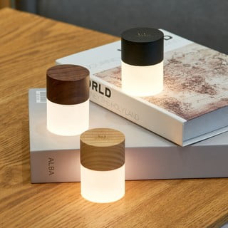 Černá LED stmívatelná stolní lampa se skleněným stínidlem (výška 6 cm) Lemelia – Gingko