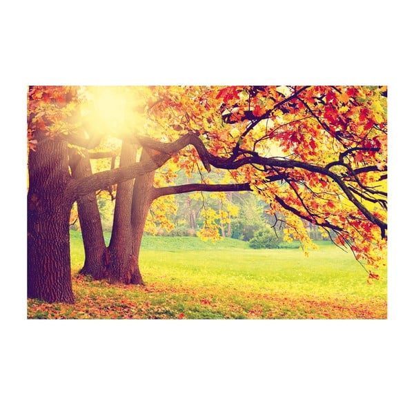 Obraz Podzimní scenérie, 45x70 cm