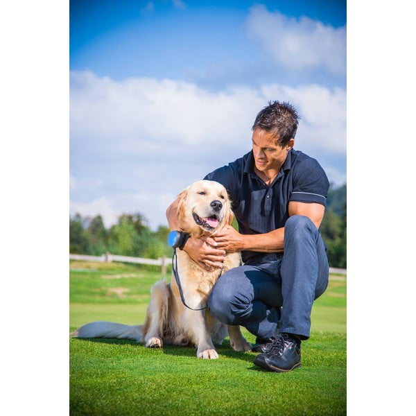 Zelené vodítko velikost S 3 Neon – Lishinu-image-3