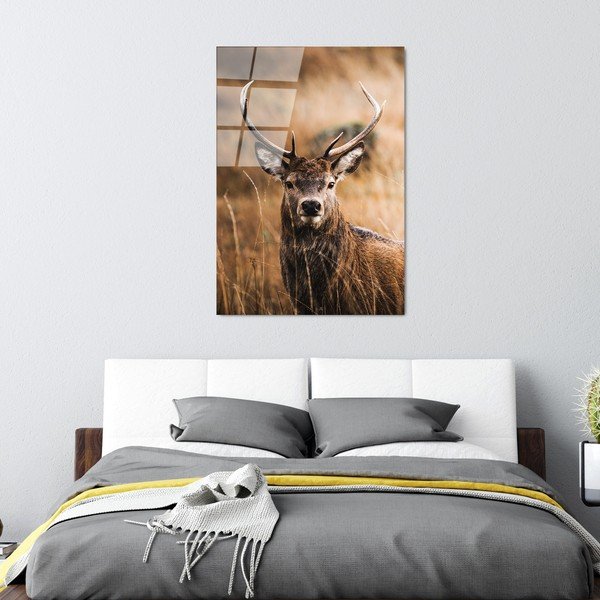 Skleněný obraz 70x100 cm Deer – Wallity-image-4