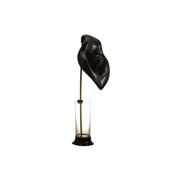Odšťavňovač se sklenicí Anthurium Black