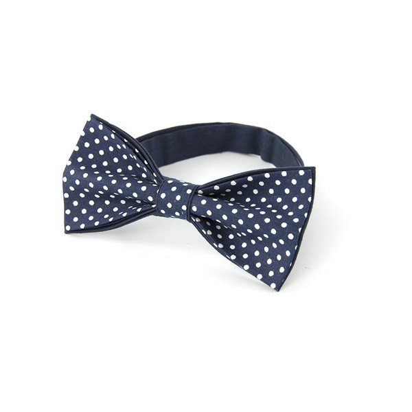 Pánský motýlek Gentleman