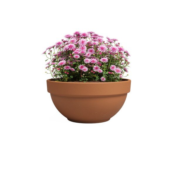 Květináč z terakoty ø 20 cm Amalia Campana – Artevasi-image-2