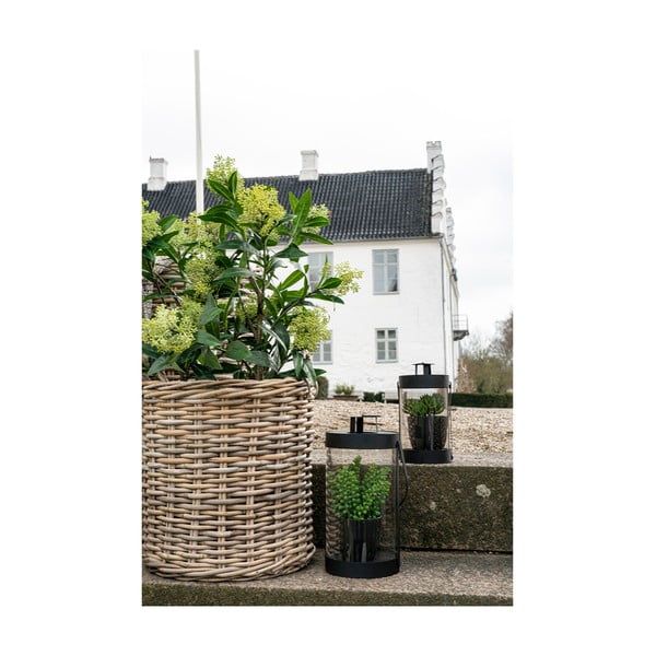 Umělá rostlina Skimmia – House Nordic-image-4