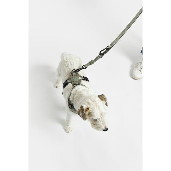 Béžové přepínací vodítko délka 200 cm Modena Greige 20 mm – MiaCara-image-4