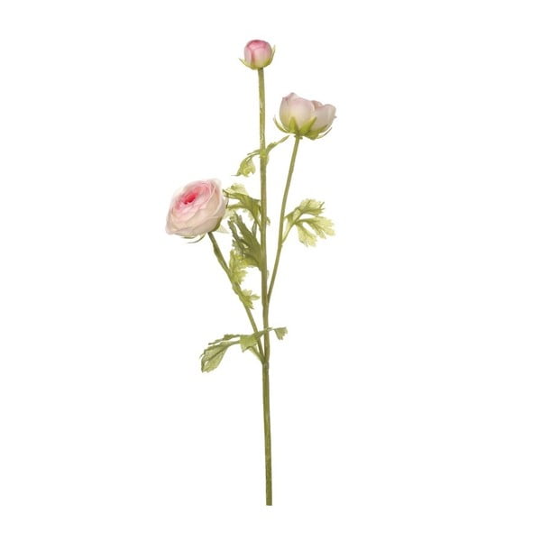 Růžová dekorativní květina Heaven Sends Ranuculus