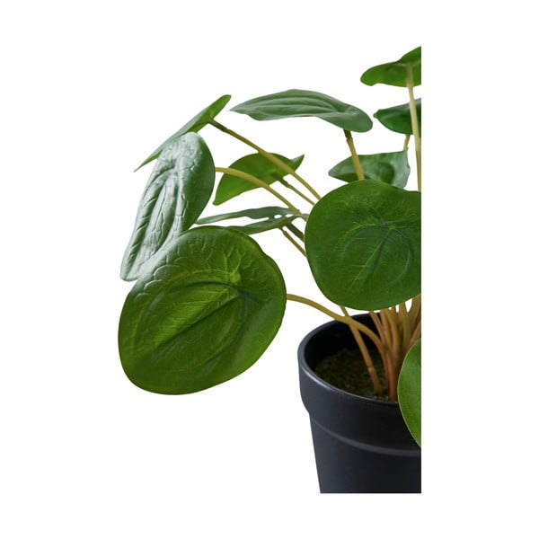 Umělá rostlina (výška 28 cm) Pelia – House Nordic-image-4