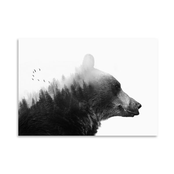 Plakát Americanflat Big Bear, 30 x 42 cm