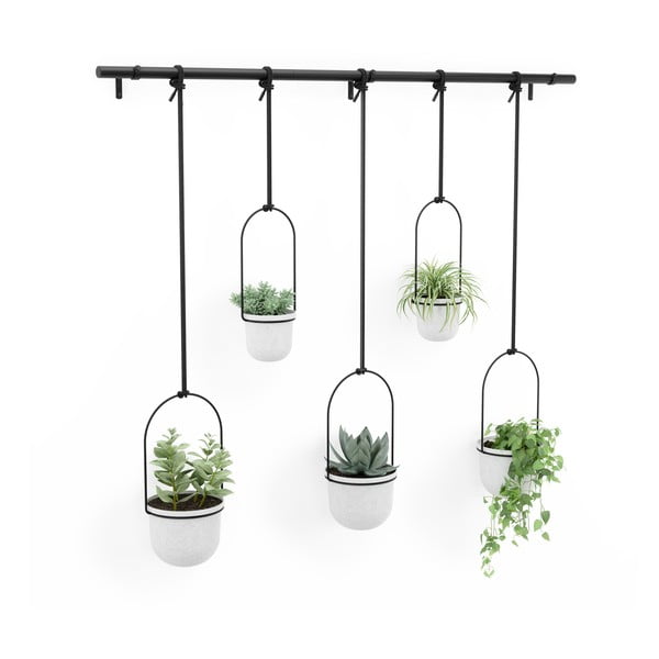 Plastové obaly na květináče v sadě 5 ks na bylinky/závěsné ø 7,5 cm Triflora – Umbra