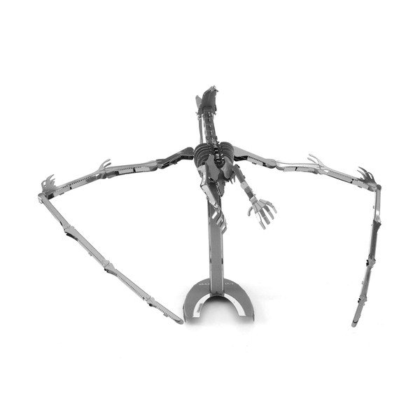 Model Pteranodon Skeleton-image-1