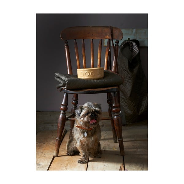 Kameninová miska pro psy Mason Cash Pet Cane Dog, ø 25 cm-image-2