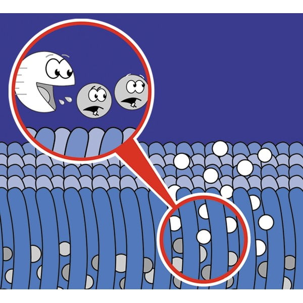 Čistící sprej na koberce 500 ml Nano - Maximex-image-1