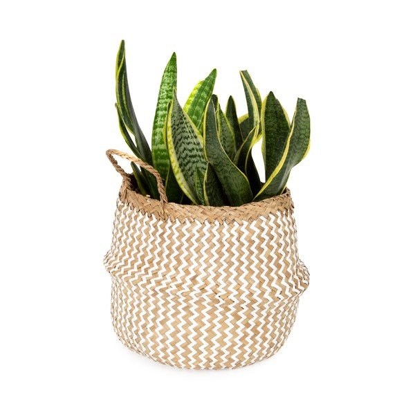 Světlý úložný košík z mořské trávy Compactor Zic Zac, ⌀ 27 cm-image-1