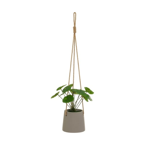 Umělá rostlina (výška 24 cm) Pilea – Casa Selección