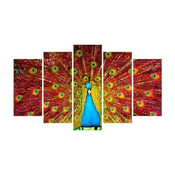 Vícedílný obraz na plátně Peacock