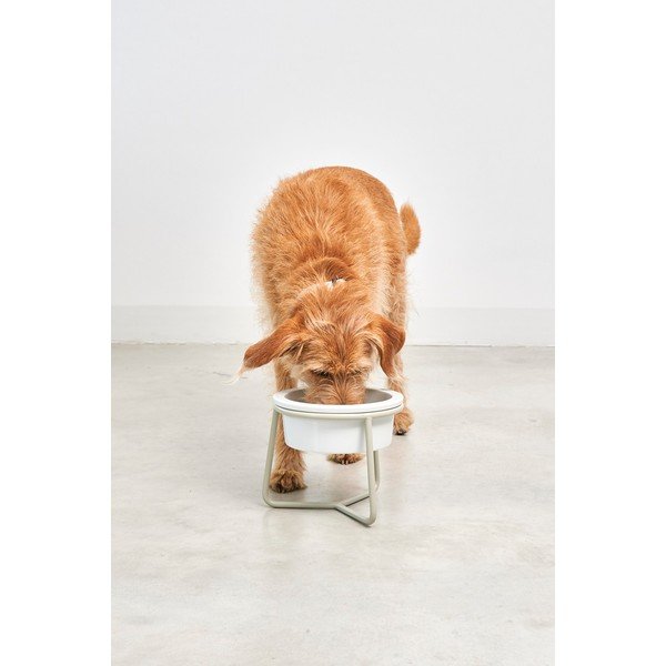 Porcelánová miska s podstavcem pro psa ø 20 cm Pranzo Greige M – MiaCara-image-2