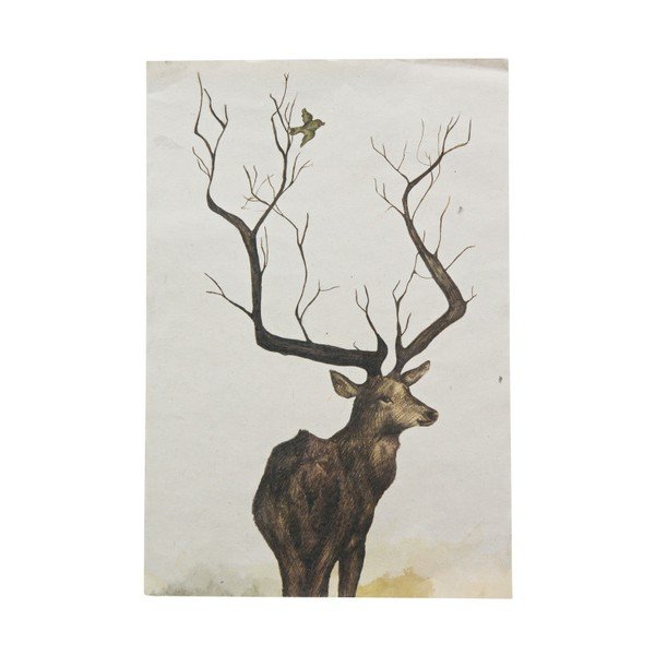 Plakát De Eekhoorn Oh Deer, 35 x 21 cm