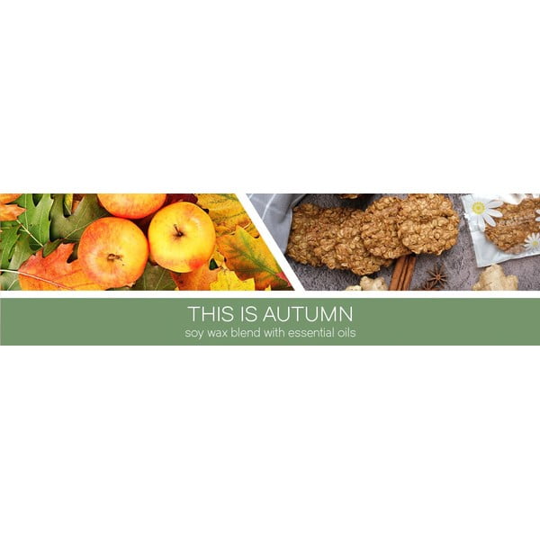 Vonná sojová svíčka doba hoření 35 h This Is Autumn – Goose Creek-image-1