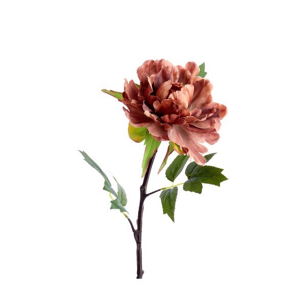 Umělá květina (výška 65 cm) Peonia – Light & Living-image-1
