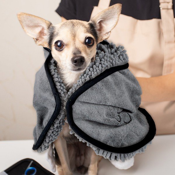 Ručník pro domácího mazlíčka – Love Story-image-1