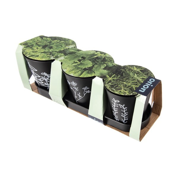 Kovové květináče na bylinky v sadě 3 ks ø 11 cm Black – Orion-image-3