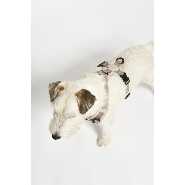 Béžový postroj velikost S délka 30 cm Modena Greige S – MiaCara-image-2