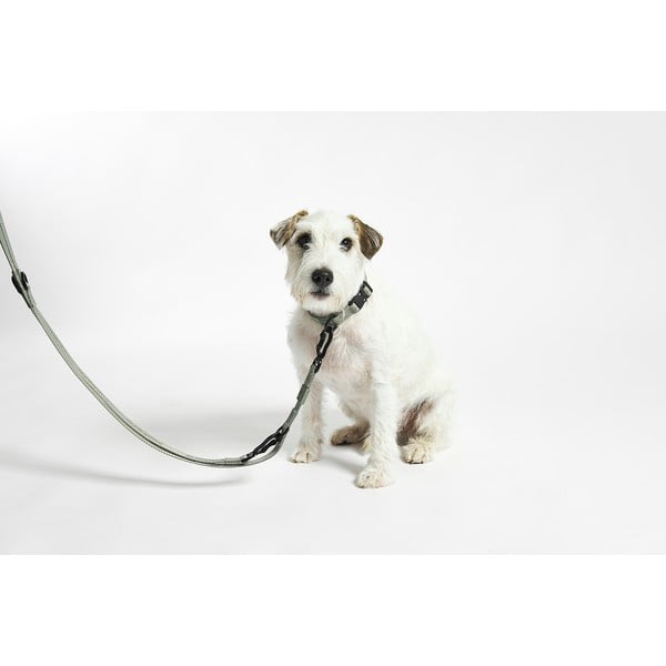 Béžové přepínací vodítko délka 200 cm Modena Greige 20 mm – MiaCara-image-3