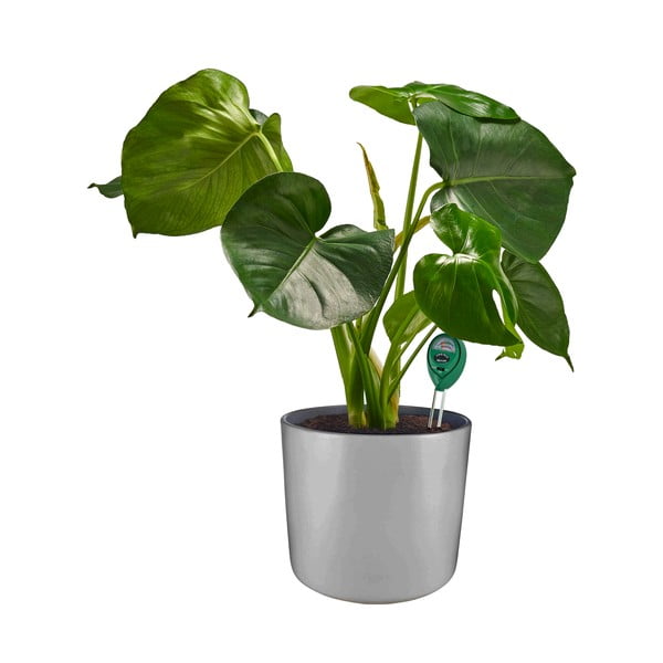 Ph tester půdy – Garden Pleasure-image-1