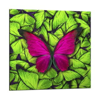 Obraz Styler Glasspik Green Butterfly, 20 x 20 cm
