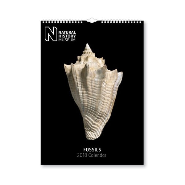 Nástěnný kalendář pro rok 2018 Portico Designs Natural History Museum Fossils, A3