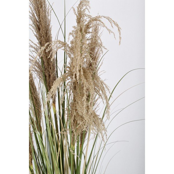 Umělá rostlina (výška 145 cm) Austorderia – Bizzotto-image-3