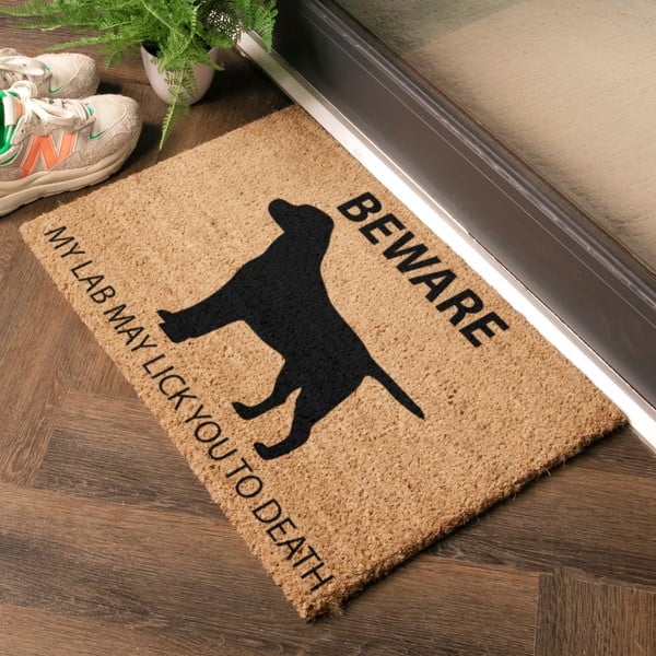 Rohožka z kokosového vlákna 40x60 cm Labrador – Artsy Doormats-image-1