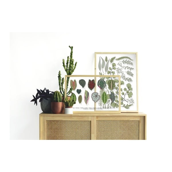 Obraz s rámem z borovicového dřeva Surdic Leafes Collection, 50 x 70 cm-image-1