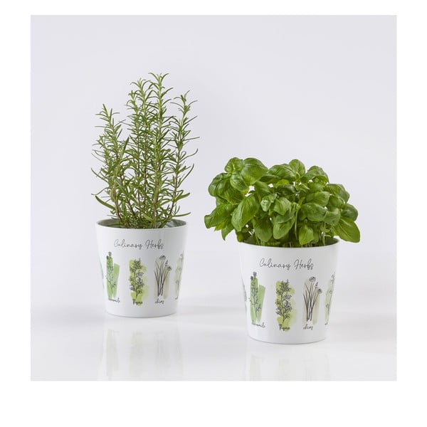 Keramické květináče v sadě 2 ks na bylinky ø 14 cm Dalllas Culinary - Big pots-image-1